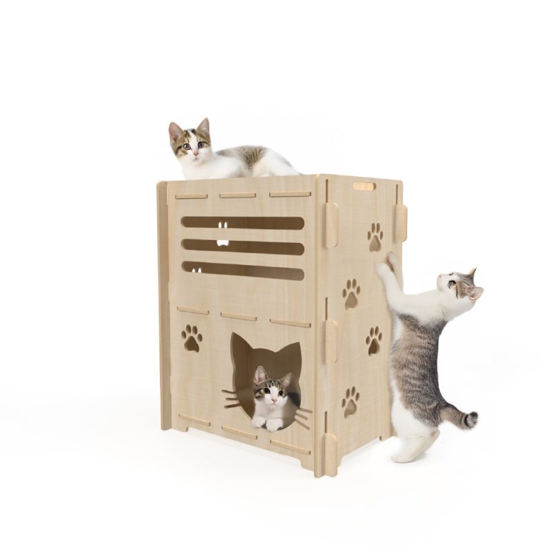 cat-funhouse-1